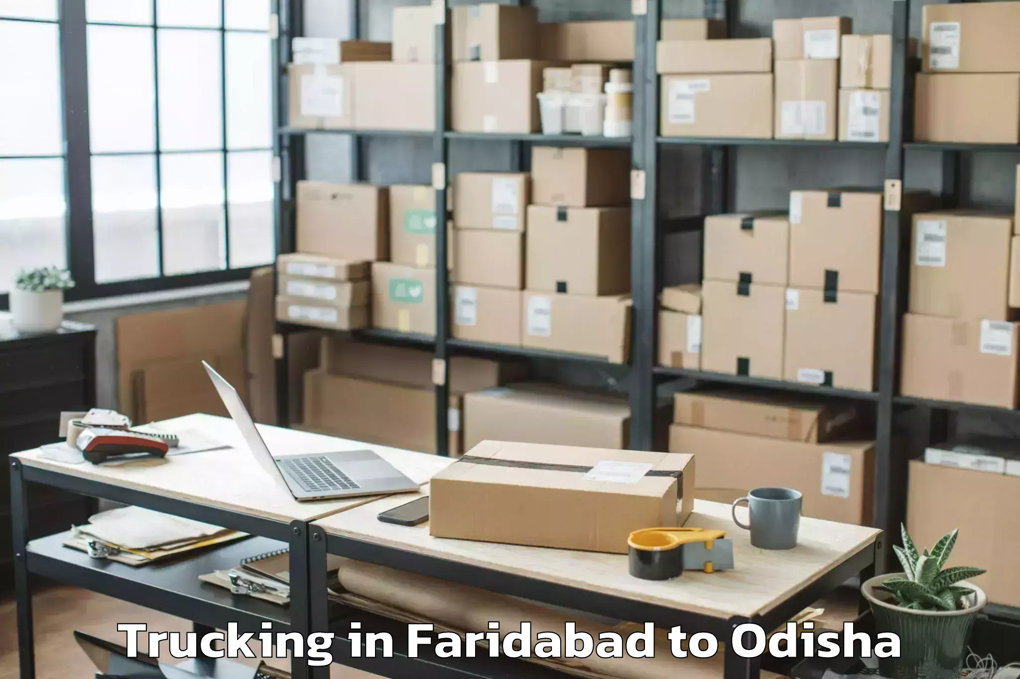 Book Faridabad to Keonjhar Trucking Online